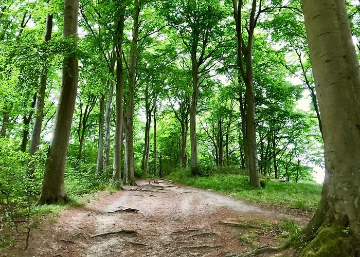 Myhome Ruegen - Haus Arkona 3* ゼリン